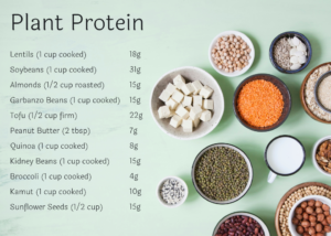 New Year, New You: Protein Trends - we eat. live. do. well